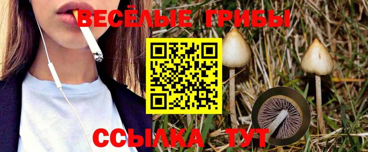 Псилоцибиновые грибы Psilocybine cubensis  Галлюциногенные грибы мицелий  Вход с VPN  Куйбышев 